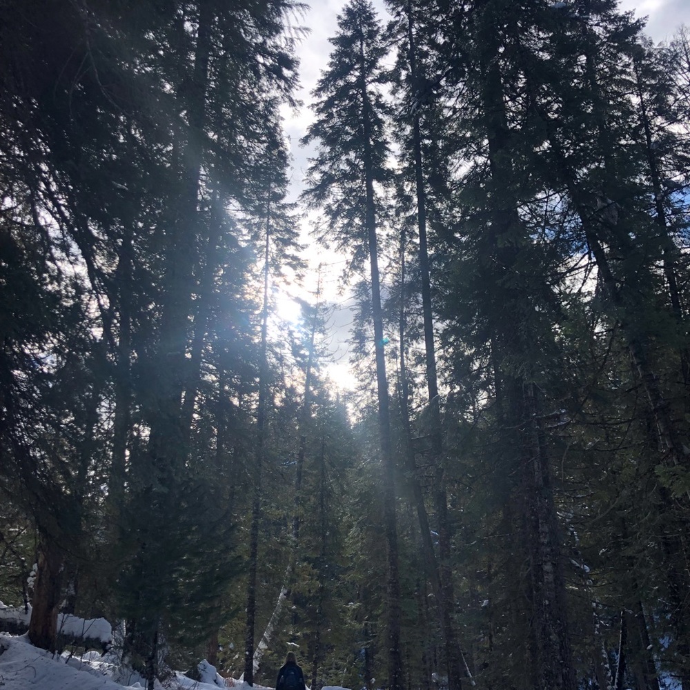 Meet your Posher, Dylan